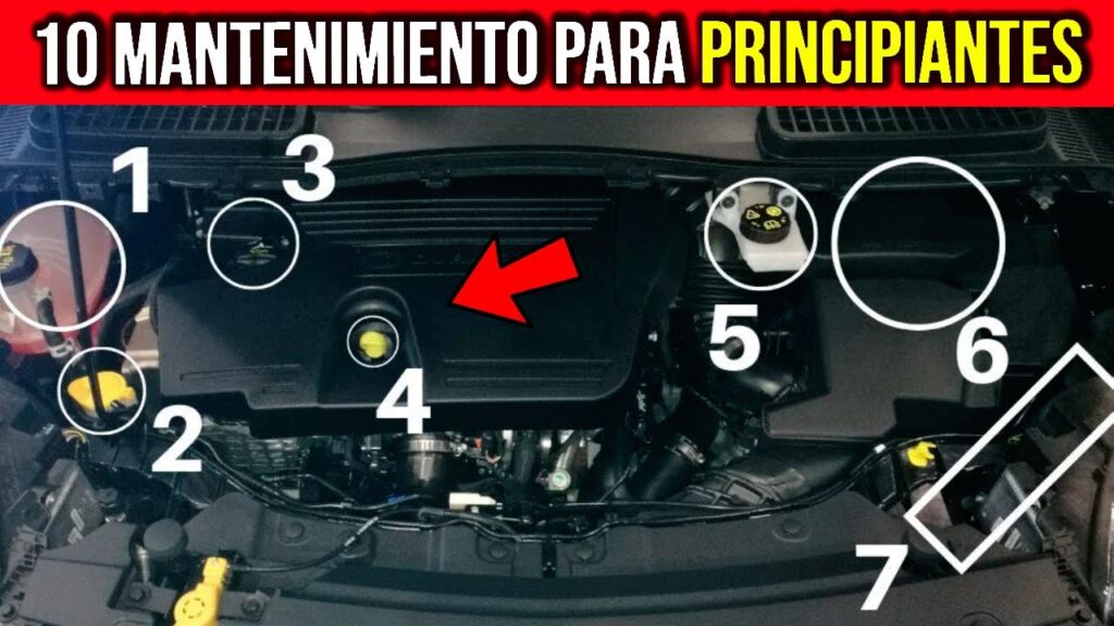 Revisión y afinación automotriz bajo contrato regular